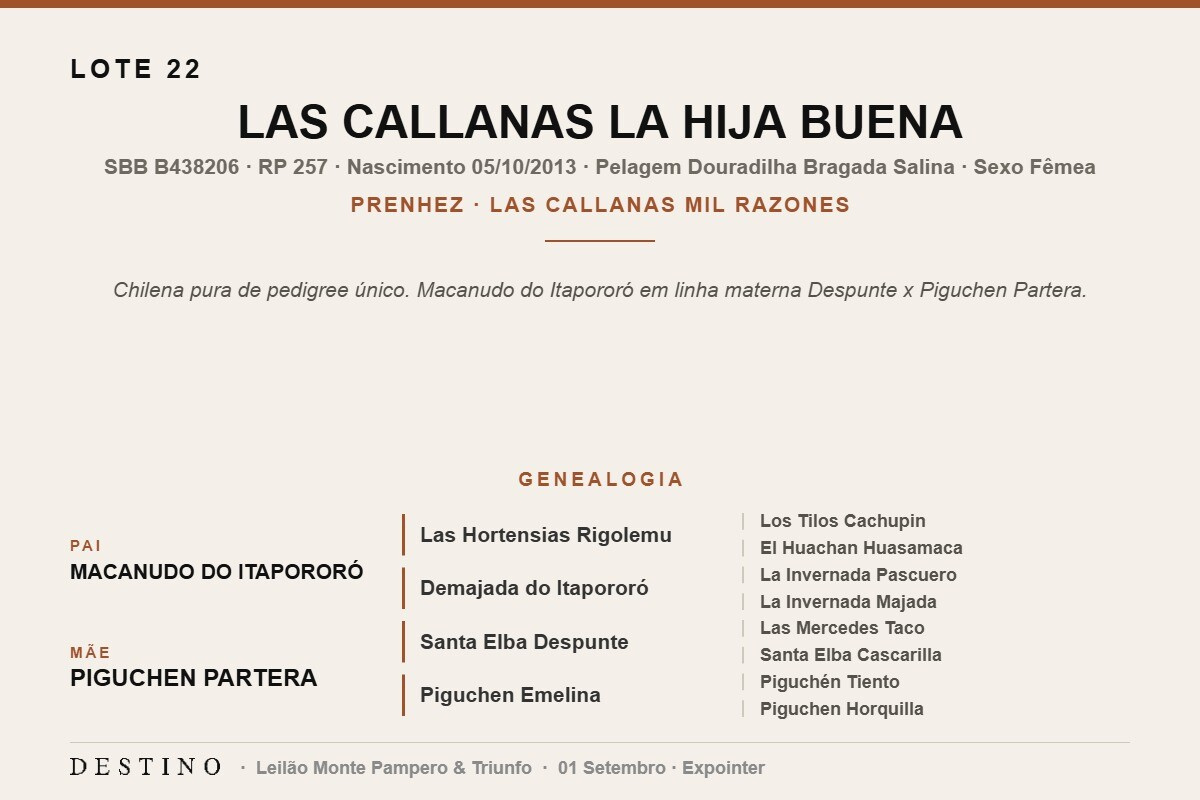 Geração LAS CALLANAS LA HIJA BUENA