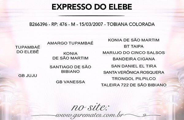 Geração EXPRESSO DO ELEBE