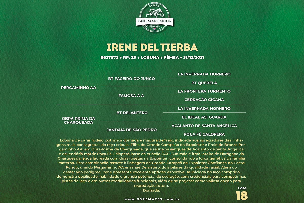 Geração IRENE DEL TIERBA
