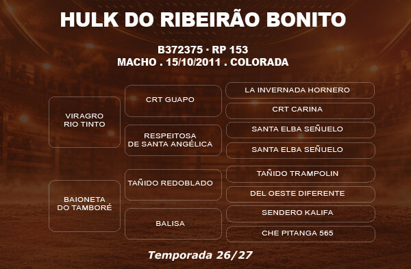 Geração COBERTURA HULK DO RIBEIRÃO BONITO