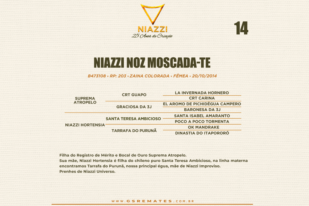 Geração NIAZZI NOZ MOSCADA-TE