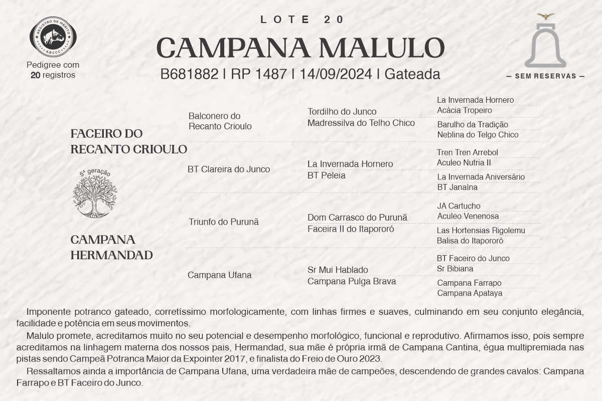 Geração CAMPANA MALULO
