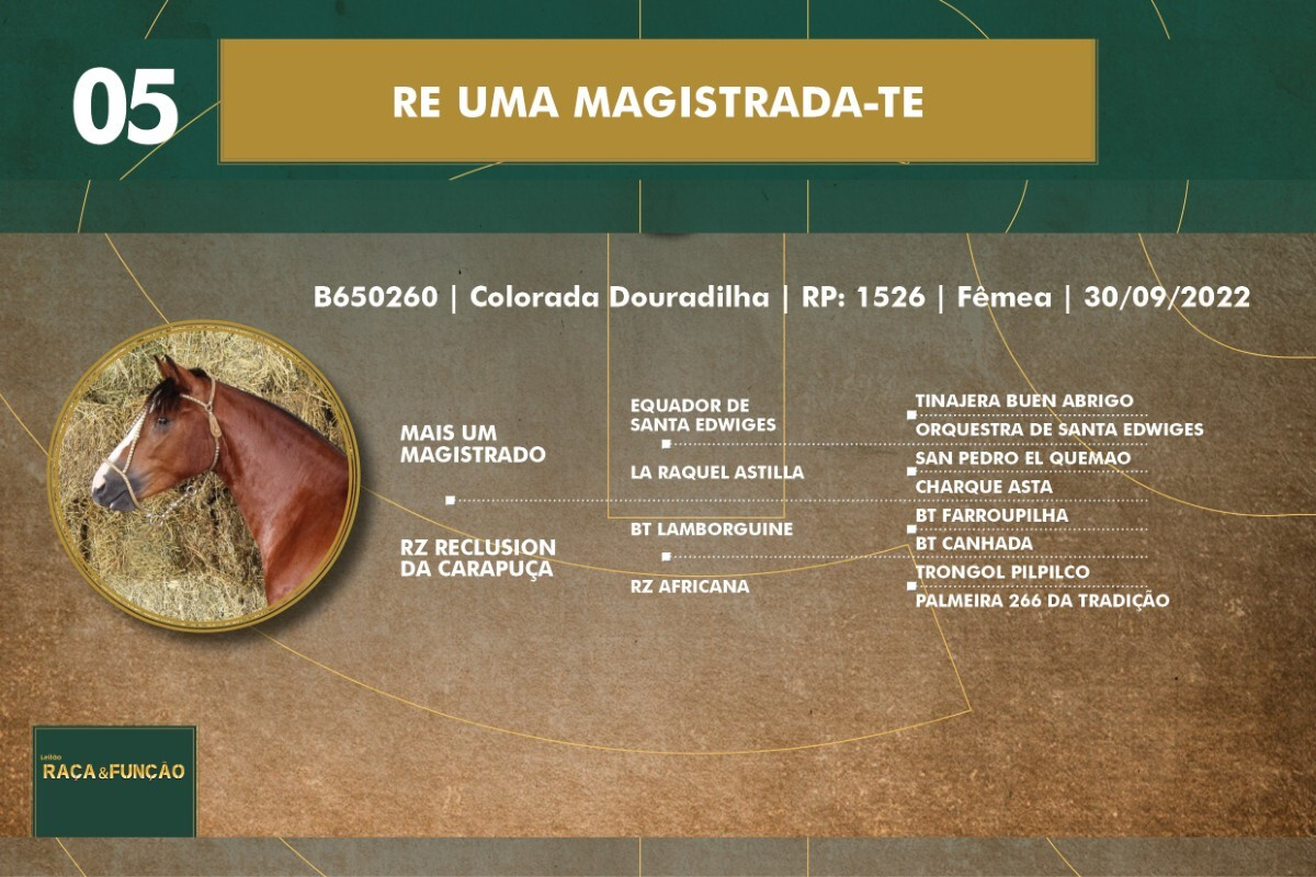 Geração RE UMA MAGISTRADA-TE