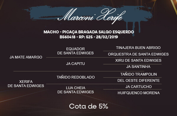 Geração COTA  5% MARCONI XERIFE