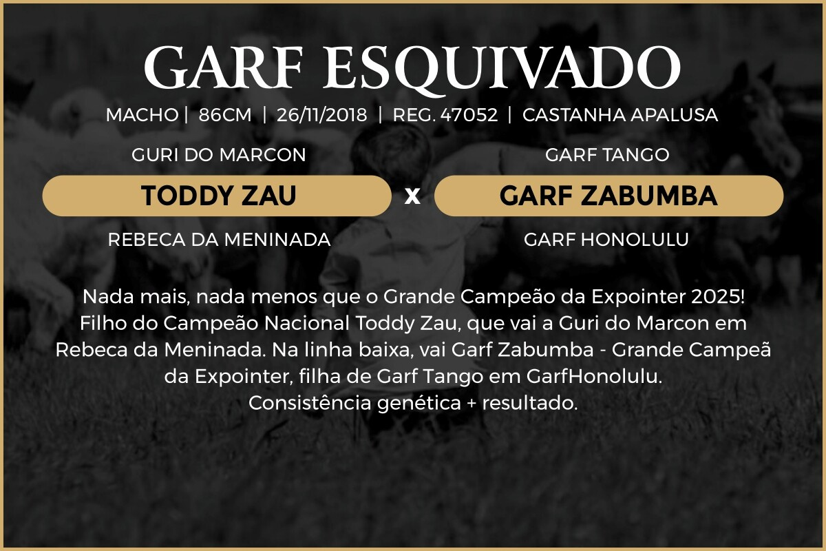 Geração COBERTURA GARF ESQUIVADO