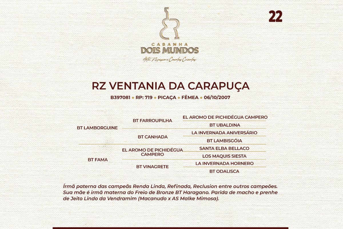 Geração RZ VENTANIA DA CARAPUÇA