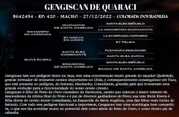 Geração GENGISCAN DE QUARACI