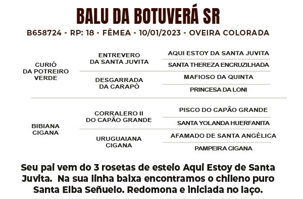 Geração BALU DA BOTUVERÁ SR