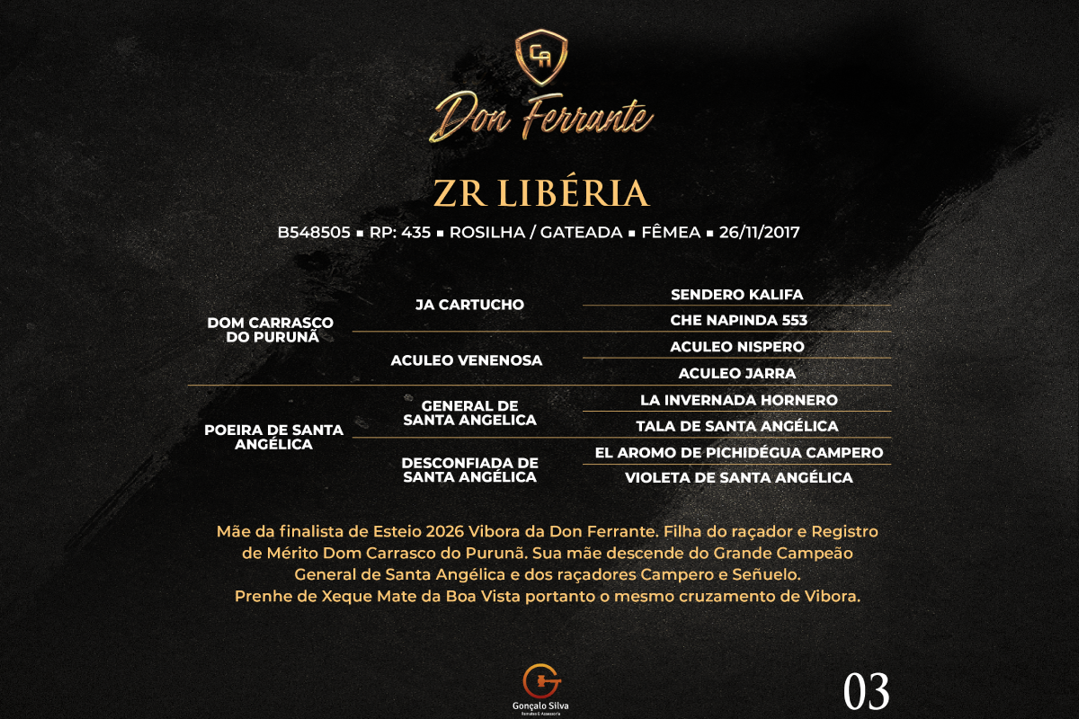 Geração ZR LIBÉRIA 
