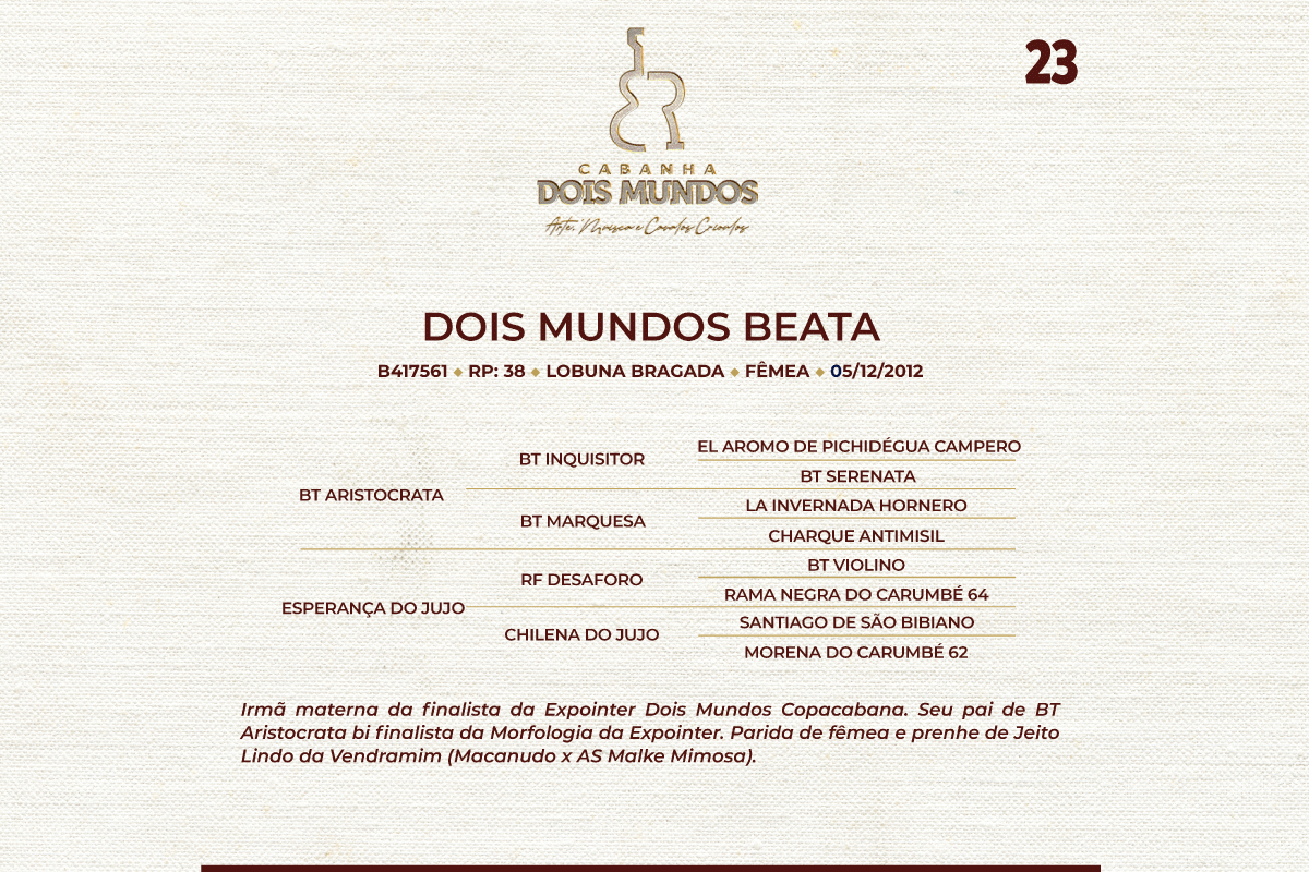 Geração DOIS MUNDOS BEATA