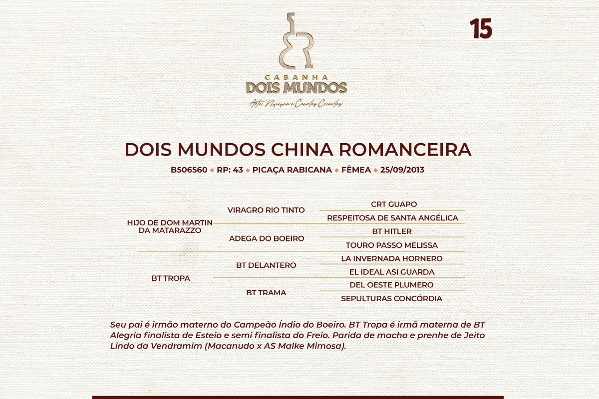 Geração DOIS MUNDOS CHINA ROMANCEIRA