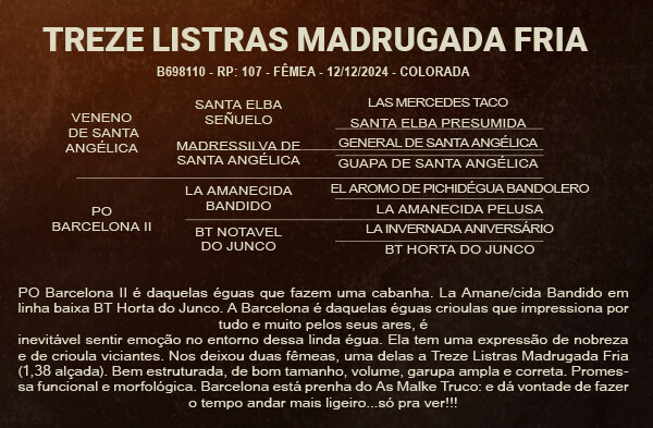 Geração TREZE LISTRAS MADRUGADA FRIA - VENDA VERTICAL
