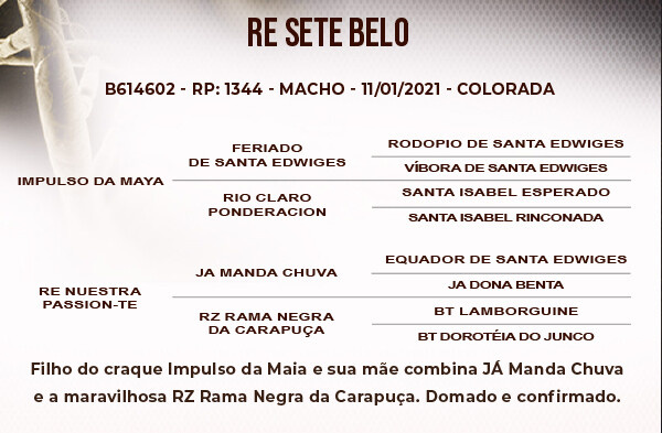 Geração RE SETE BELO