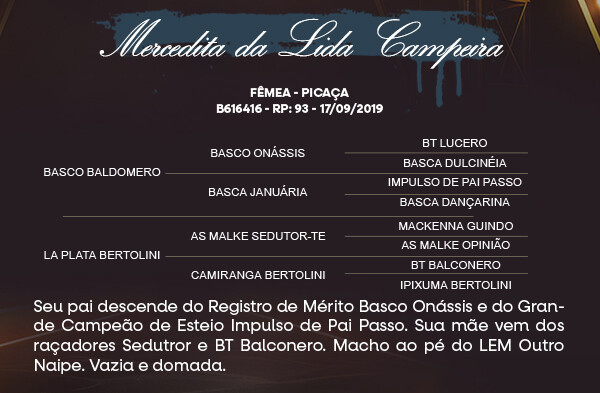 Geração MERCEDITA DA LIDA CAMPEIRA