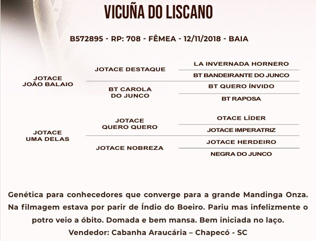 Geração VICUÑA DO LISCANO