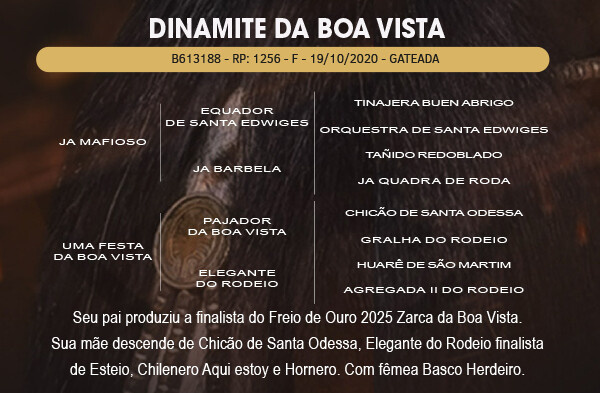 Geração DINAMITE DA BOA VISTA 