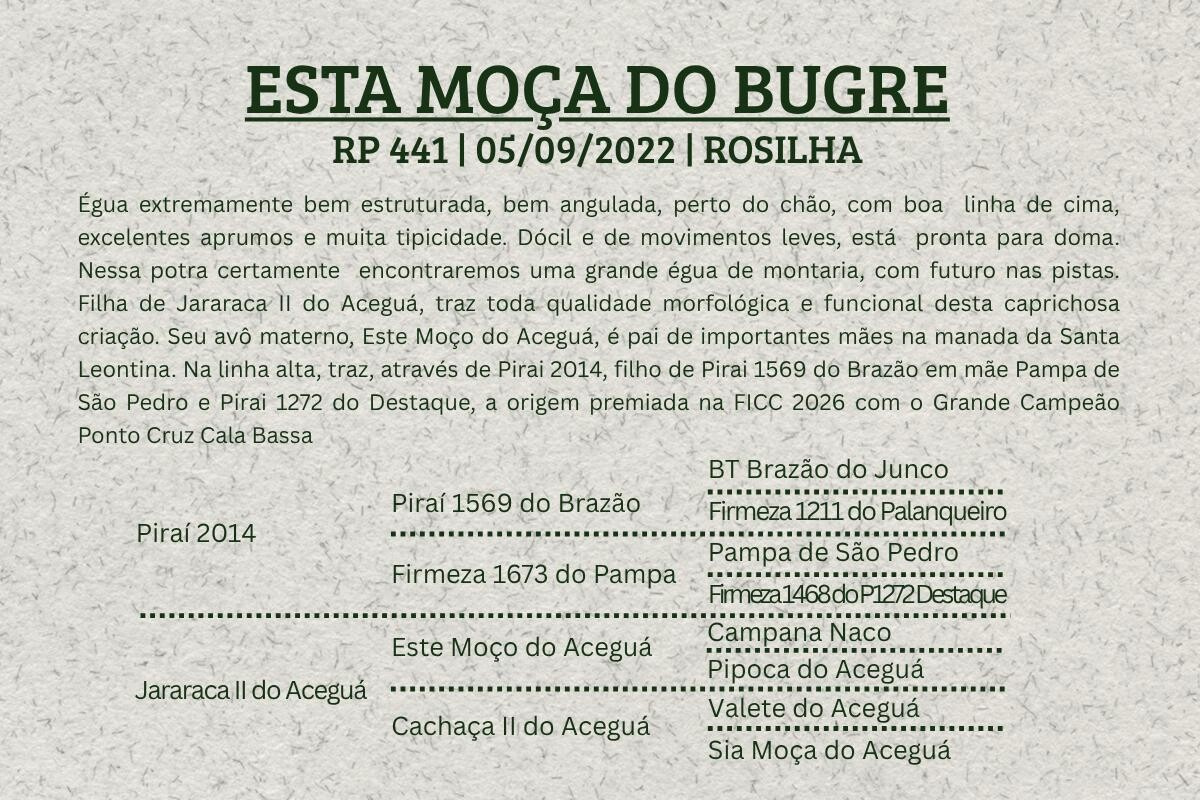 Geração ESTA MOÇA DO BUGRE 