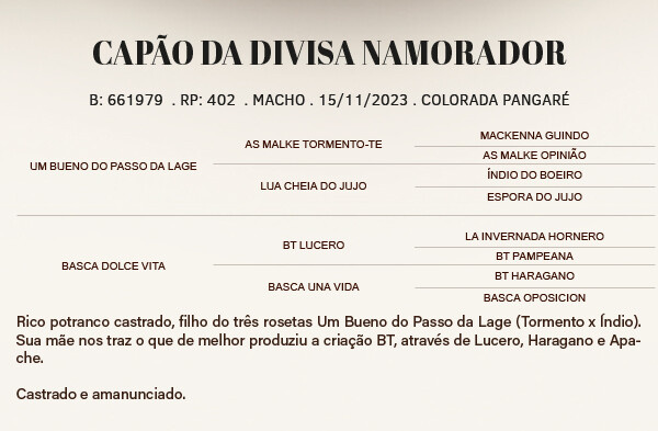 Geração CAPÃO DA DIVISA NAMORADOR 