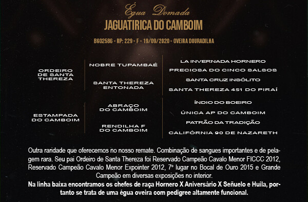 Geração JAGUATIRICA DO CAMBOIM