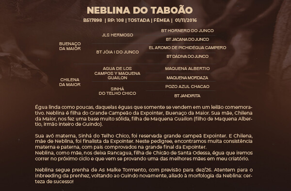 Geração NEBLINA DO TABOÃO