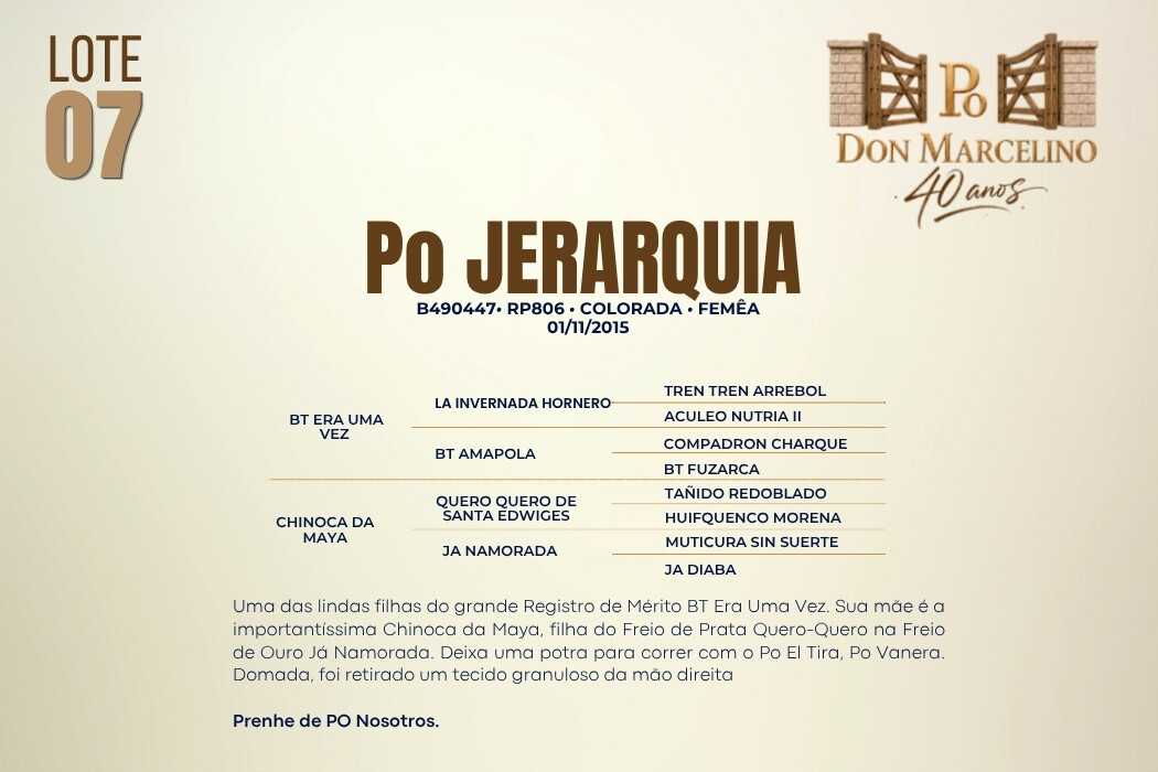 Geração PO JERARQUIA