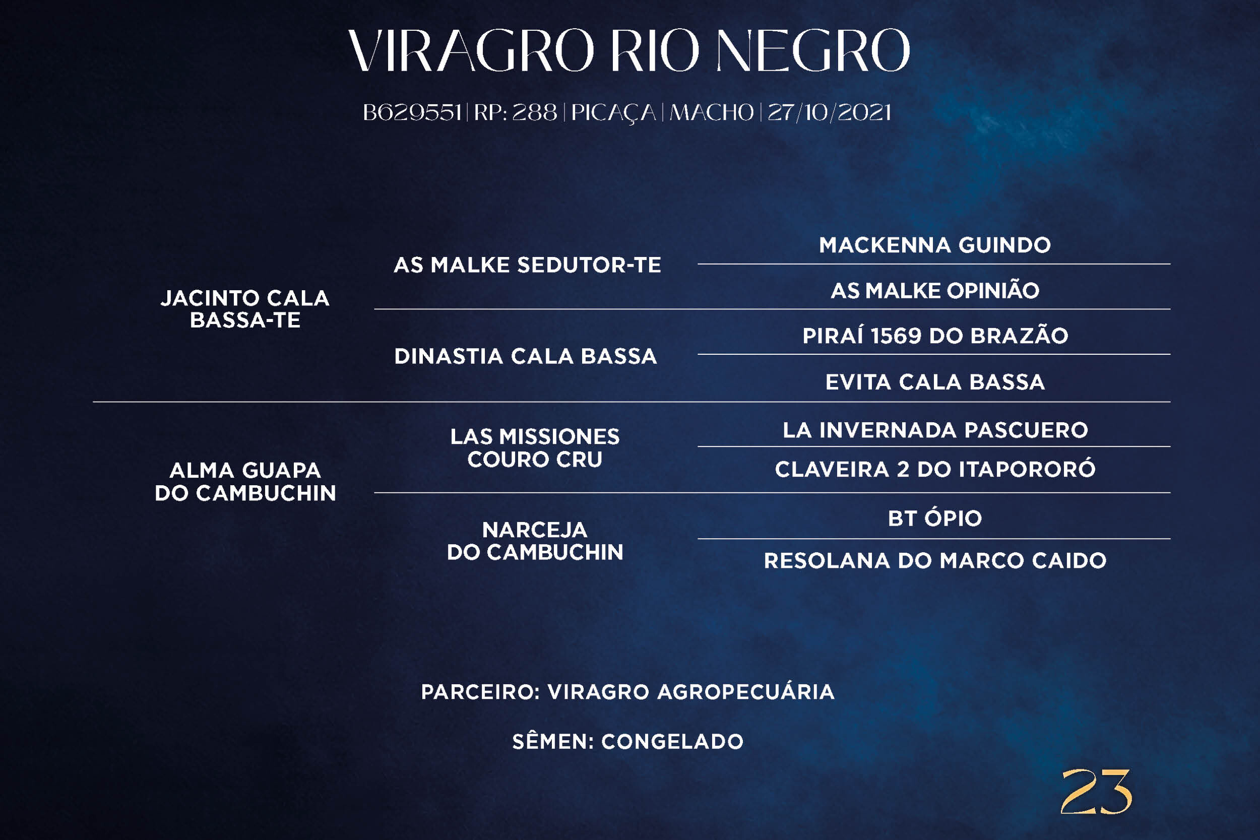 Geração VIRAGRO RIO NEGRO