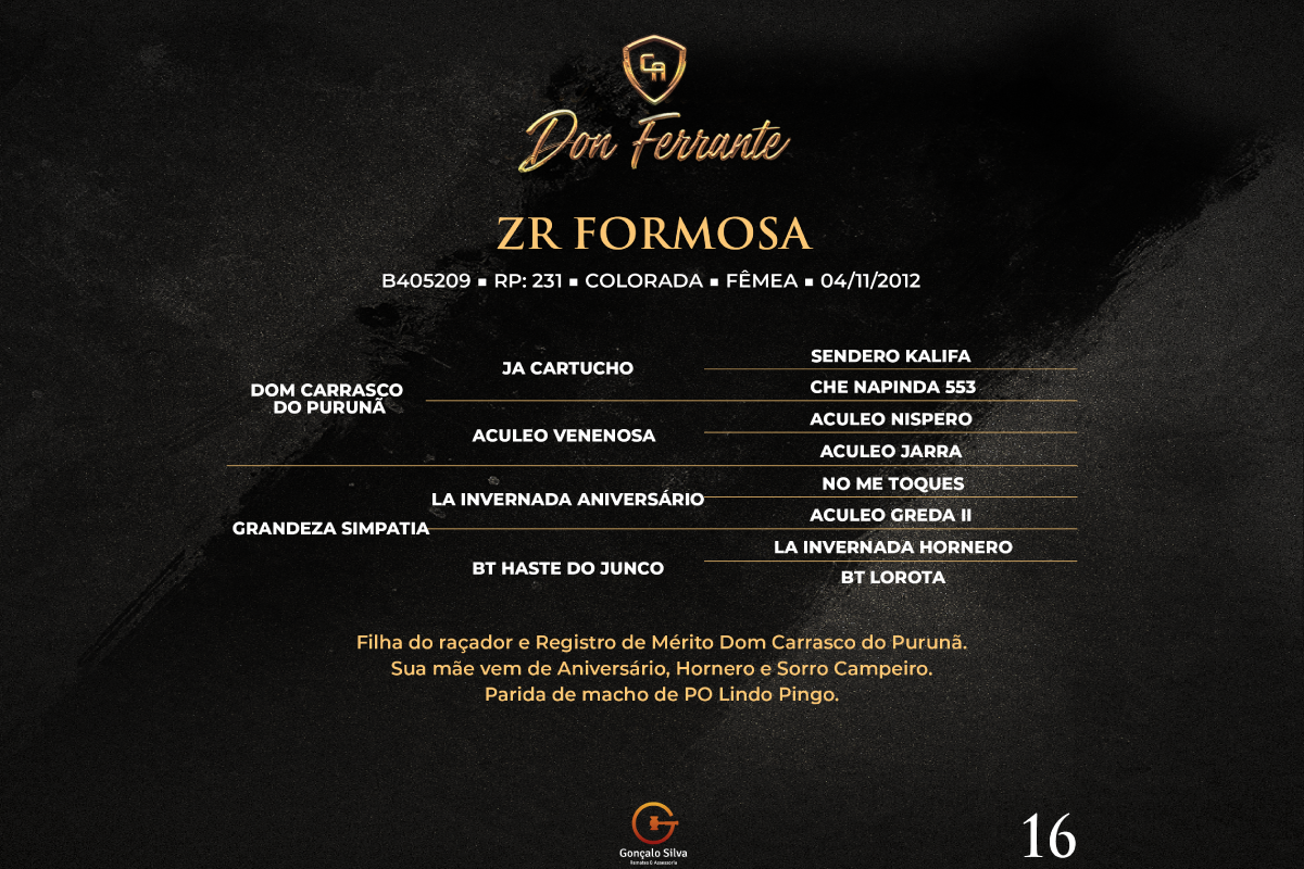Geração ZR FORMOSA 