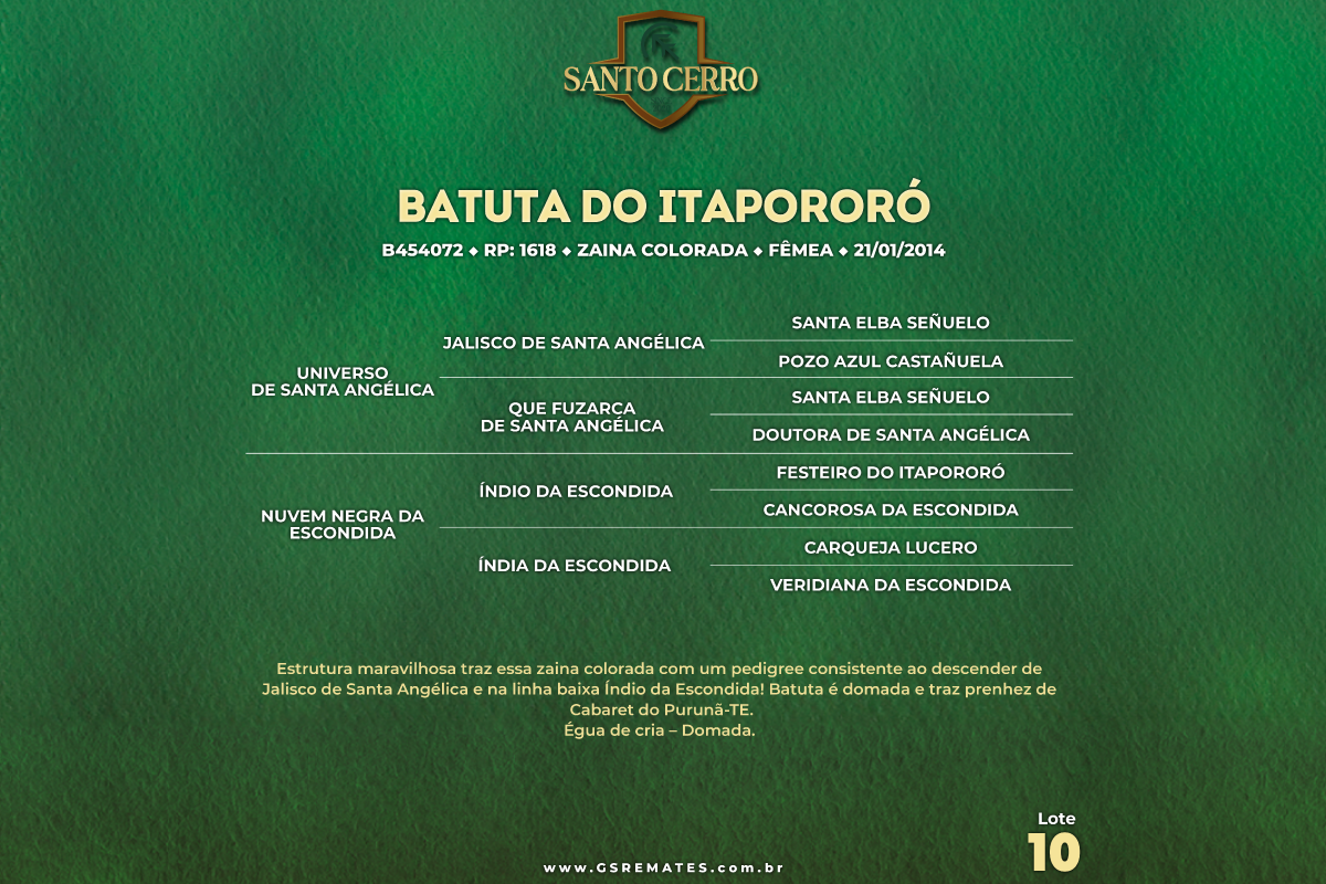 Geração BATUTA DO ITAPORORÓ