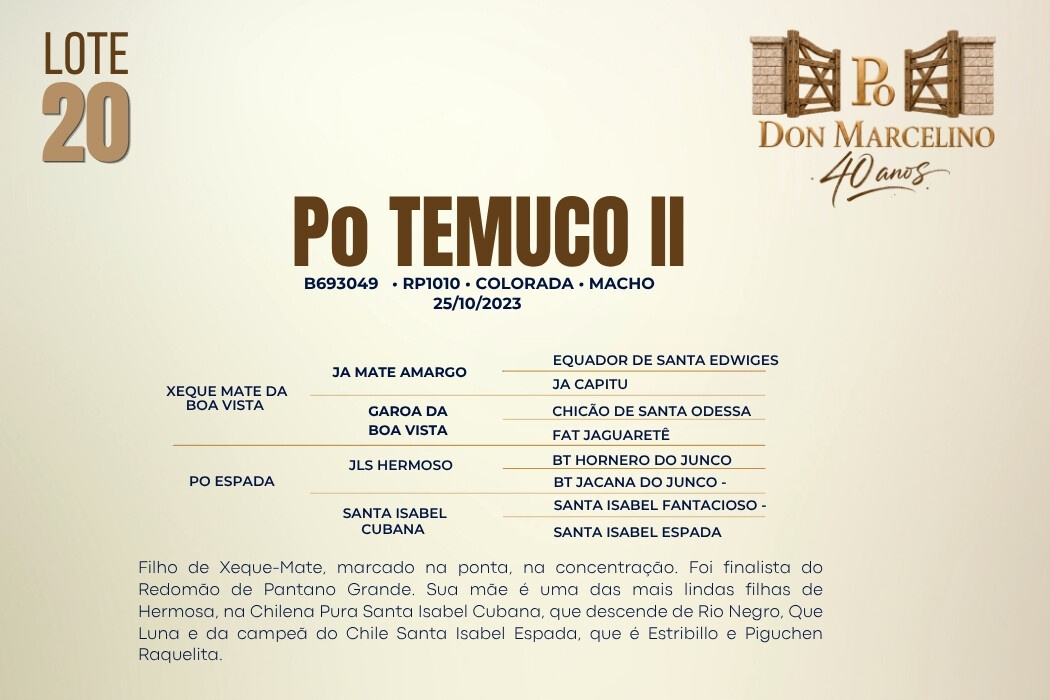 Geração PO TEMUCO II