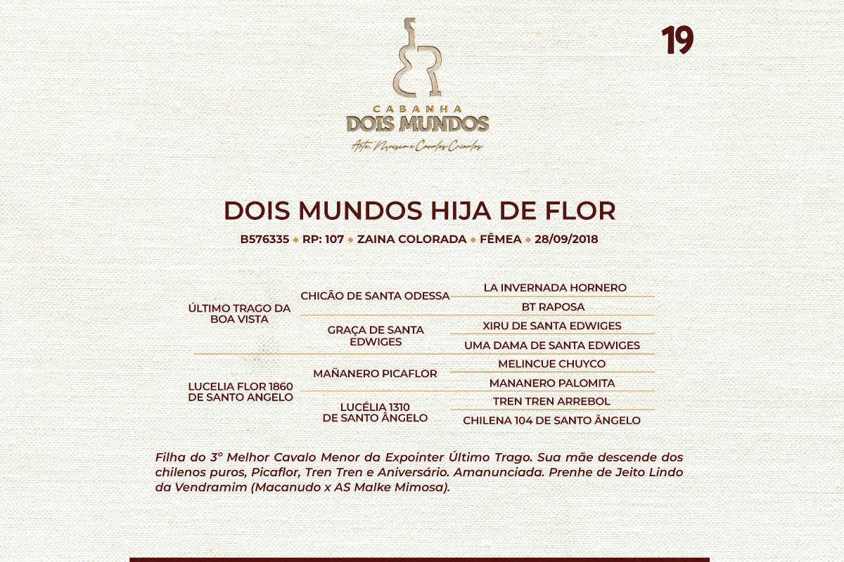 Geração DOIS MUNDOS HIJA DE FLOR
