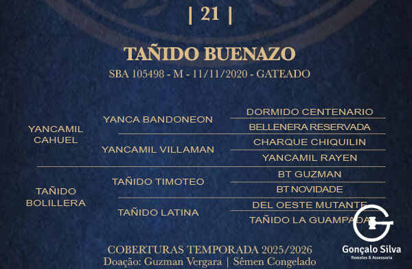 Geração TAÑIDO BUENAZO