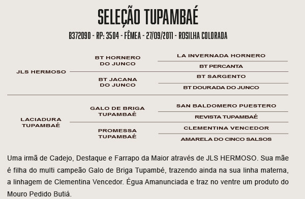 Geração SELEÇÃO TUPAMBAÉ