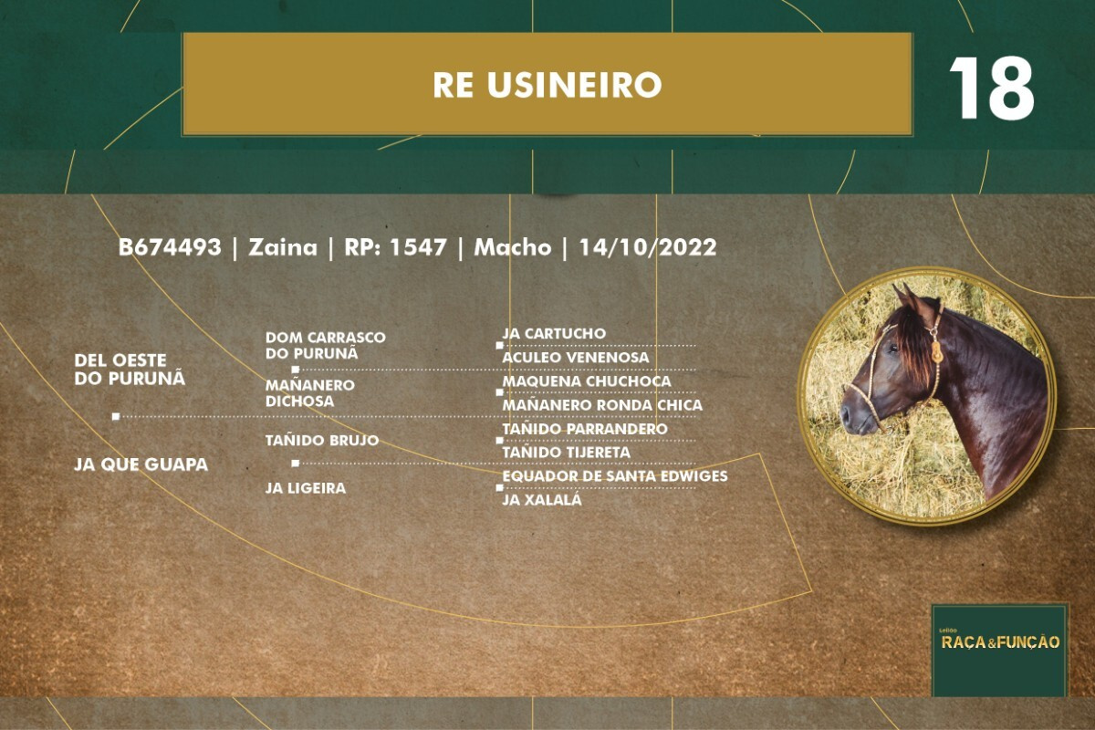 Geração RE USINEIRO