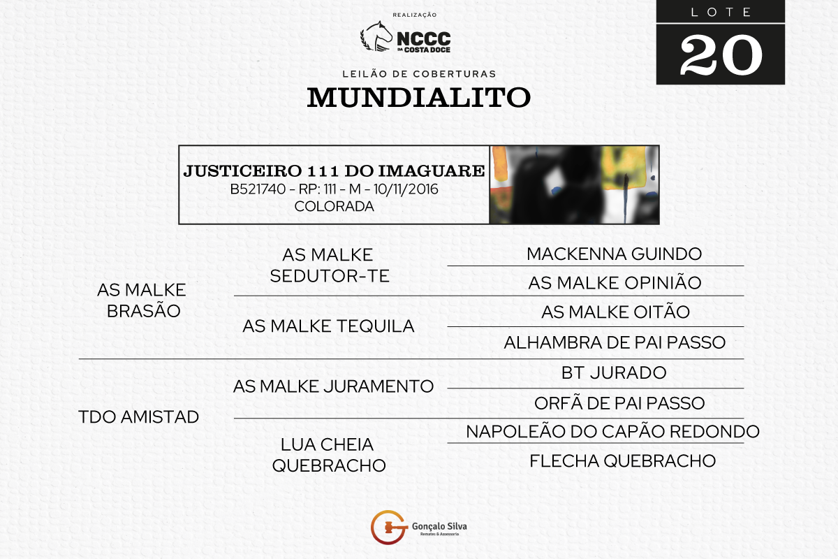 Geração JUSTICEIRO 111 DO IMAGUARE