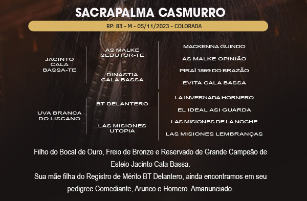 Geração SACRAPALMA CASMURRO 