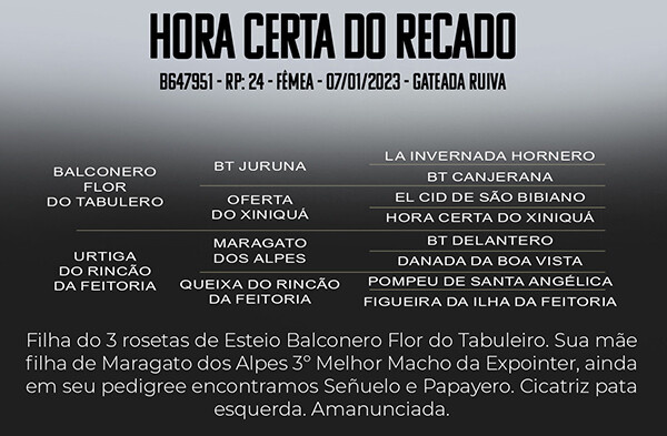 Geração HORA CERTA DO RECADO