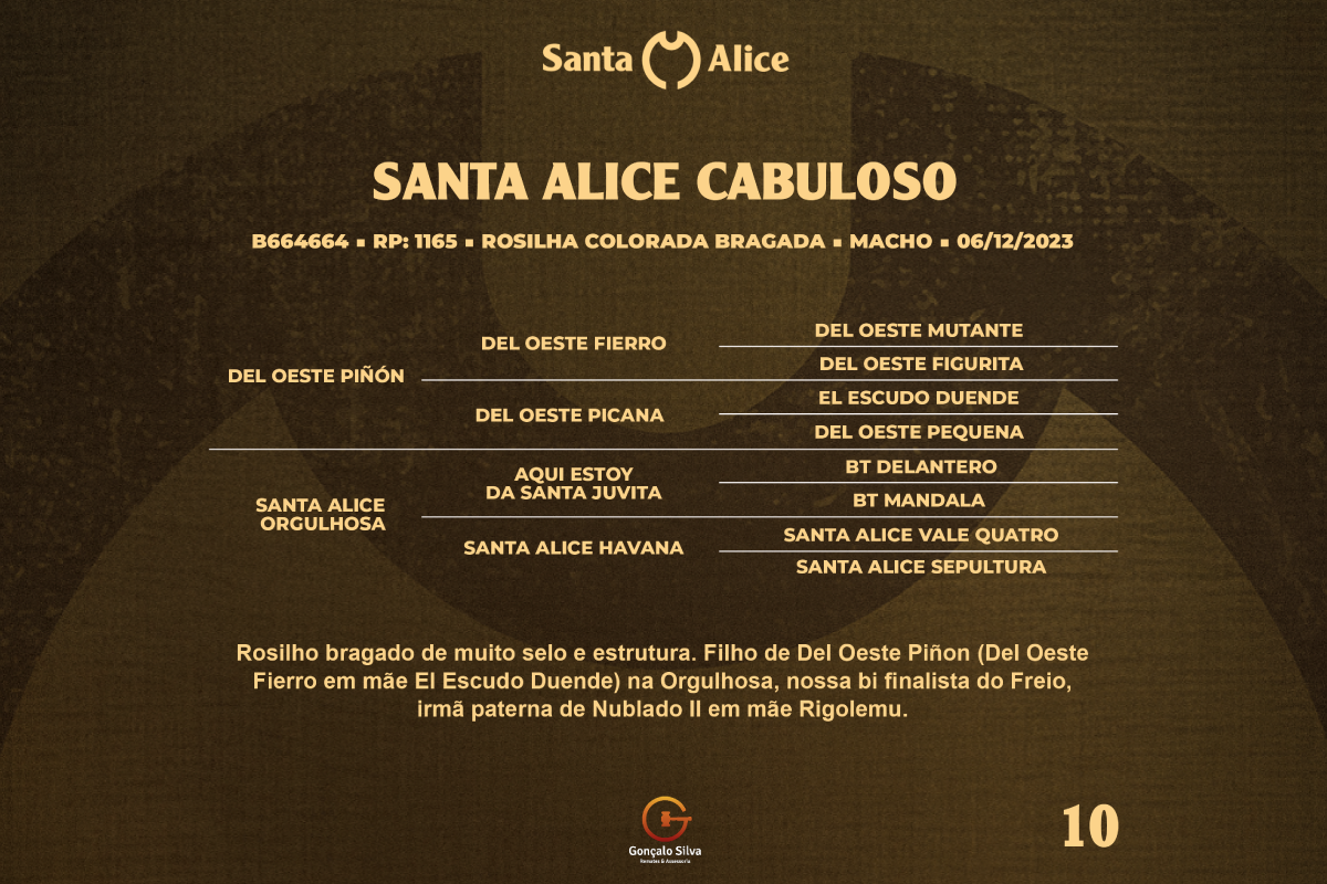 Geração SANTA ALICE CABULOSO