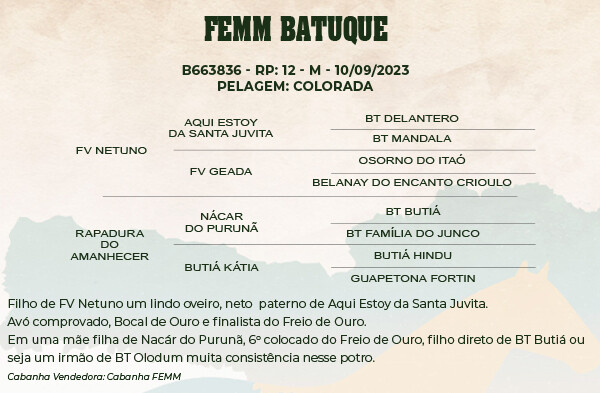 Geração FEMM BATUQUE