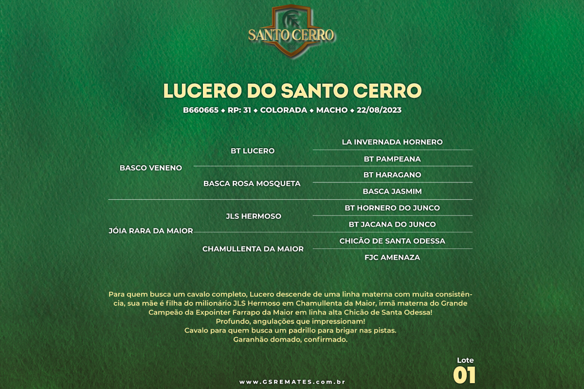 Geração LUCERO DO SANTO CERRO