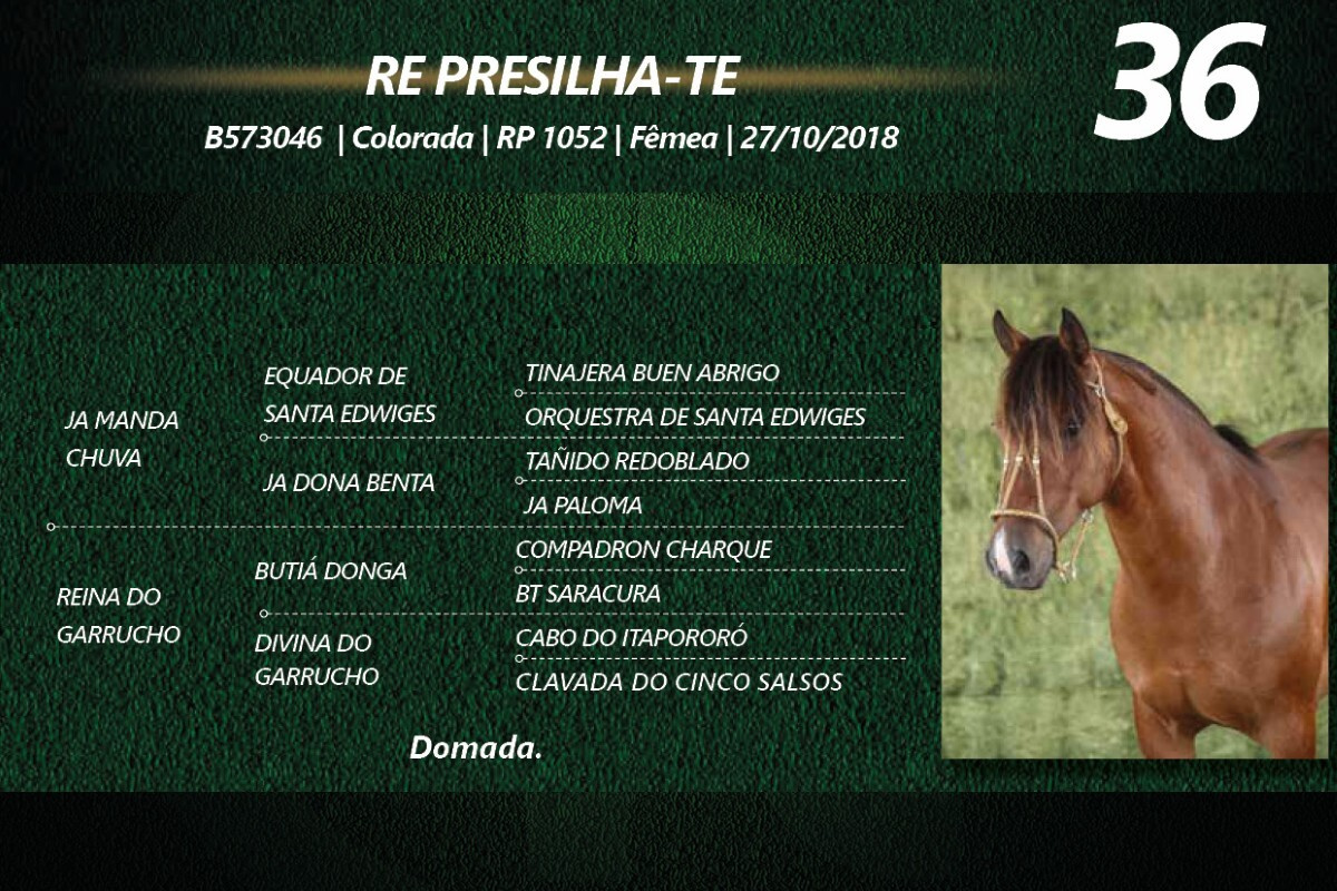 Geração RE PRESILHA-TE