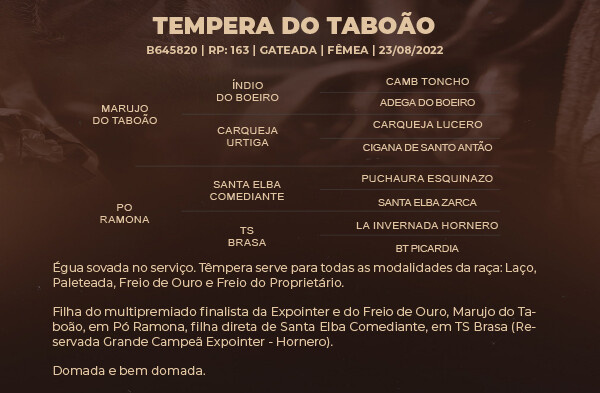 Geração TEMPERA DO TABOÃO 