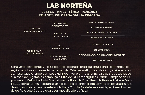 Geração LAB NORTEÑA