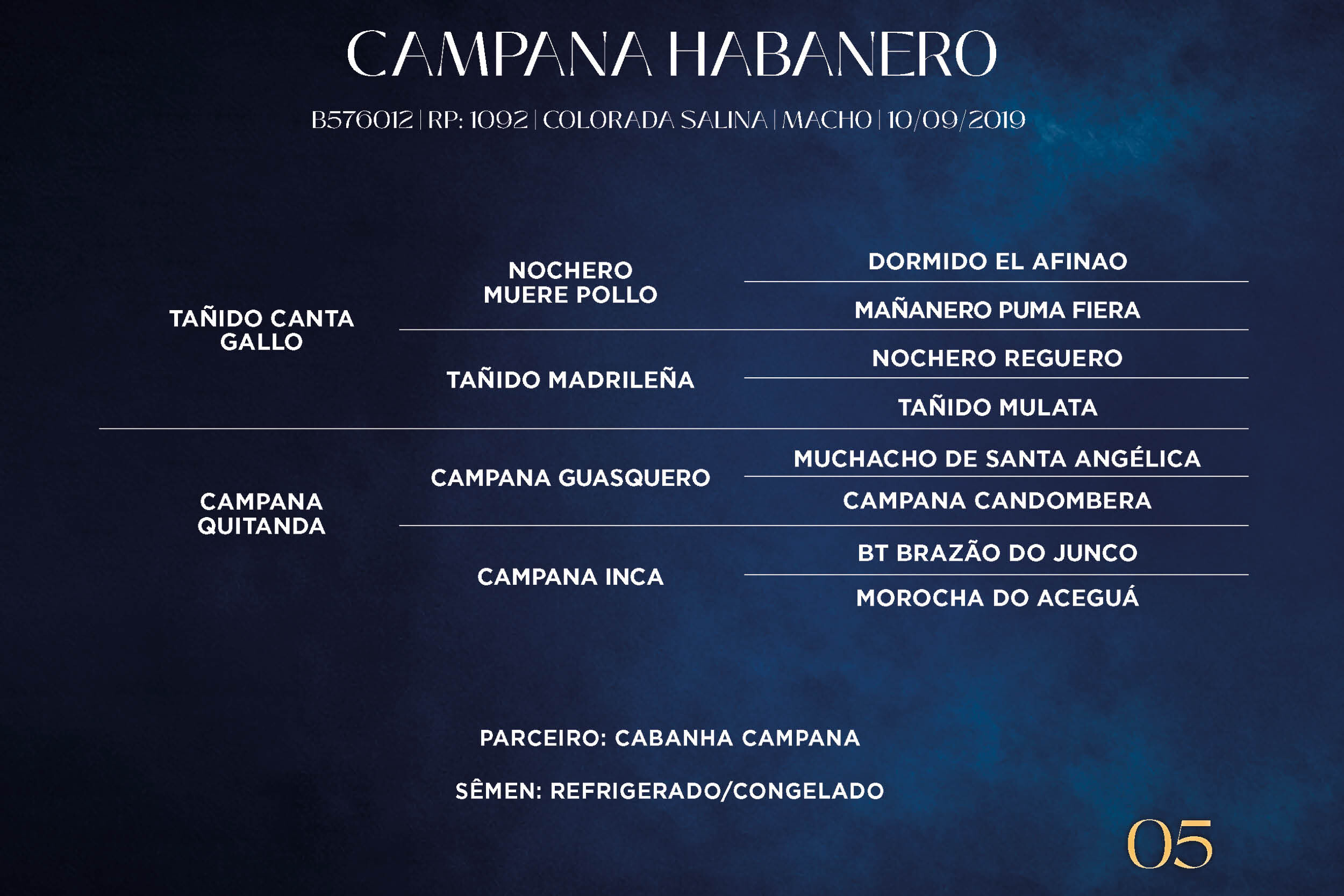 Geração CAMPANA HABANERO