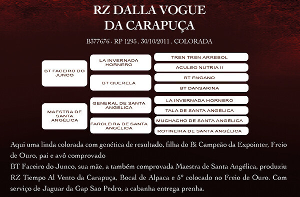 Geração RZ DALLA VOGUE DA CARAPUÇA