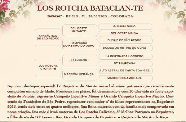 Geração COTA 5% LOS ROTCHA BATACLAN - TE