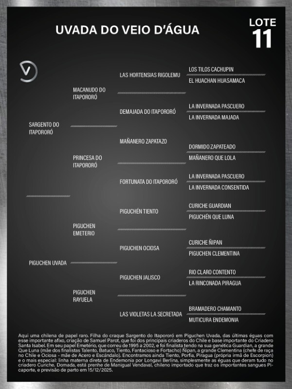 Geração UVADA DO VEIO D'ÁGUA