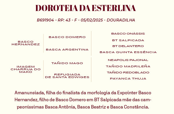 Geração DOROTEIA DA ESTERLINA