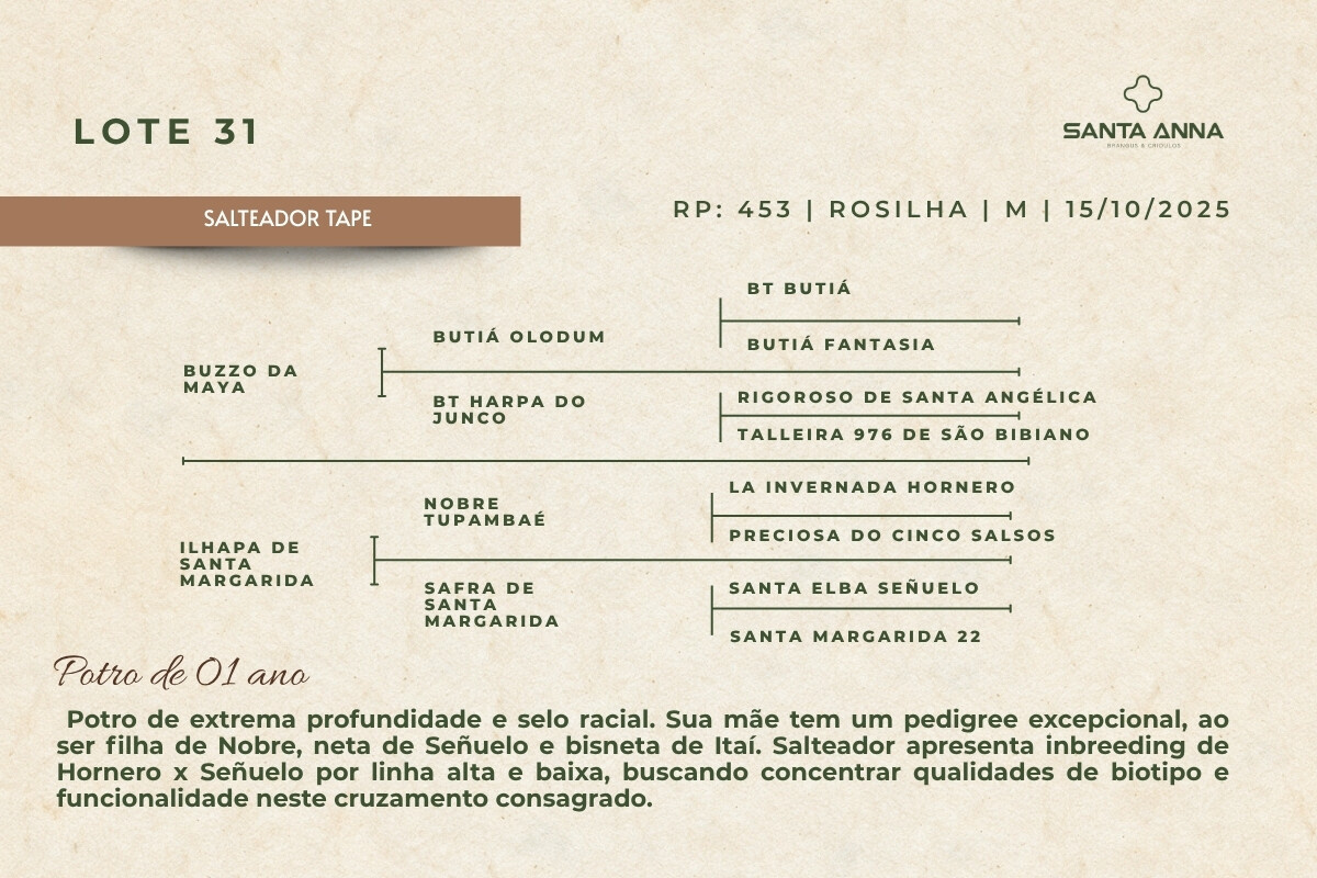 Geração SALTEADOR TAPE