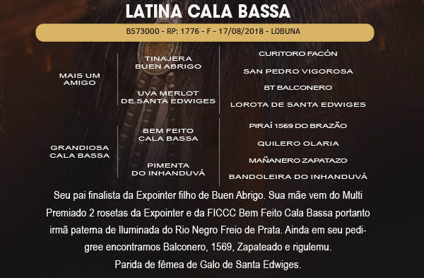 Geração LATINA CALA BASSA 