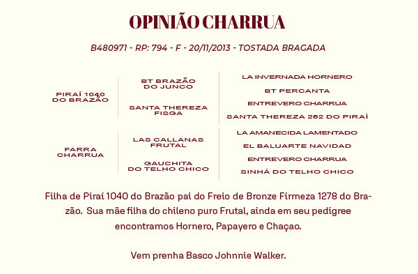 Geração OPINIÃO CHARRUA